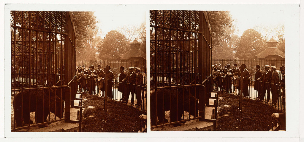 Le jardin des plantes